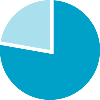 asset allocation option 2