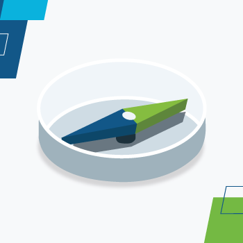 Image of a 3D compass