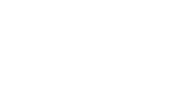 Dynamic LIVE