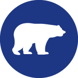 Bear market icon