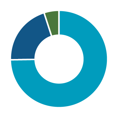 80% Equities, 20% Fixed Income